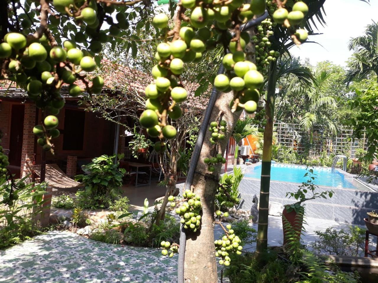 An Phu Homestay Ninh Binh Dış mekan fotoğraf