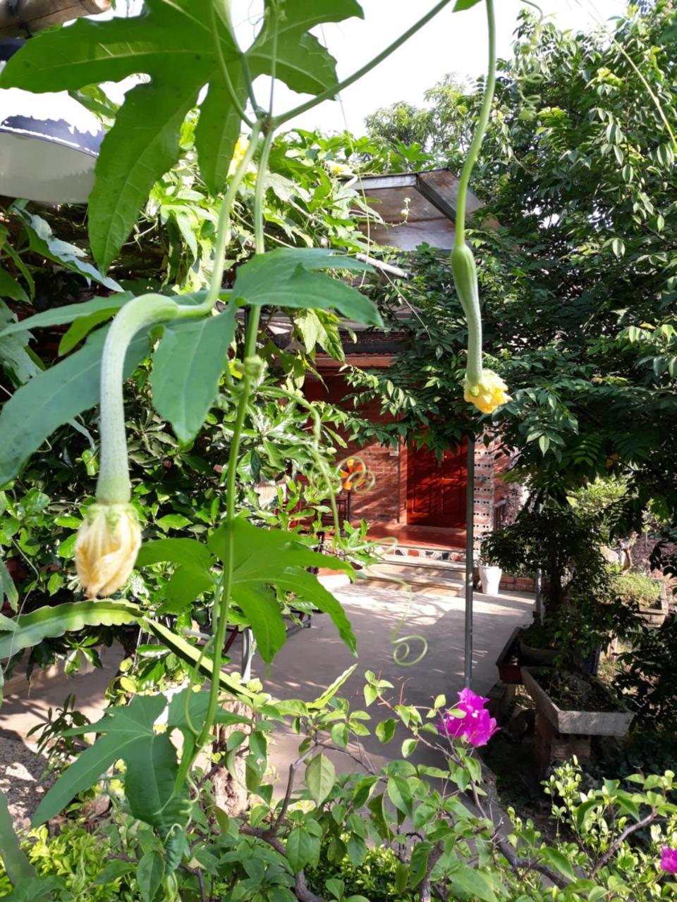 An Phu Homestay Ninh Binh Dış mekan fotoğraf
